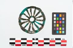 Foto von Bronzerad (NHMW-PRAE-026153)